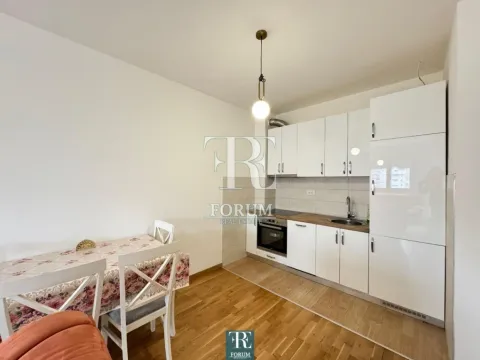 Izdavanje, jednosoban stan, 50m², Stari Aerodrom, Podgorica - image 5