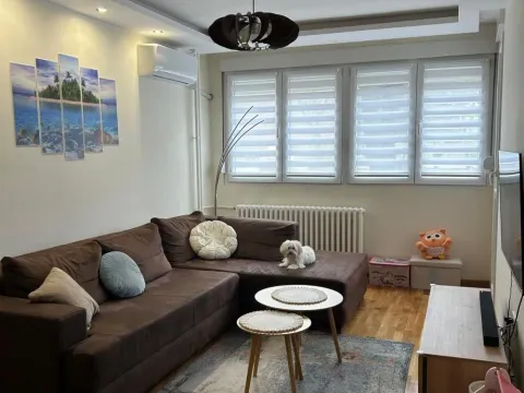 Prodaja, jednosoban stan, 45m², Zvezdara Sve Podlokacije, Beograd - image 2