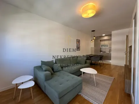 Izdavanje, jednosoban stan, 46m², Central Point, Podgorica - image 10