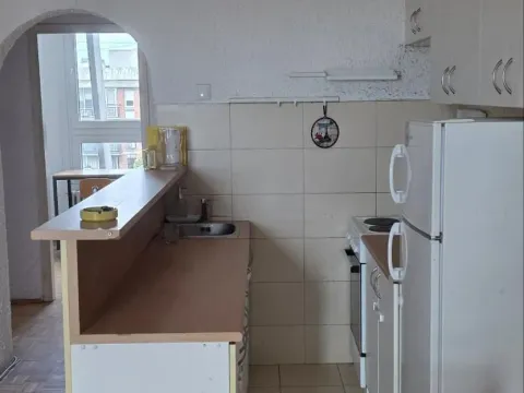 Sale, two bedroom apartment, 50m², Lion, Zvezdara Sve Podlokacije - image 4
