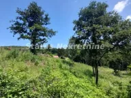 Prodaja, plac, 135m², Banja Vrdnik, Irig - image 17