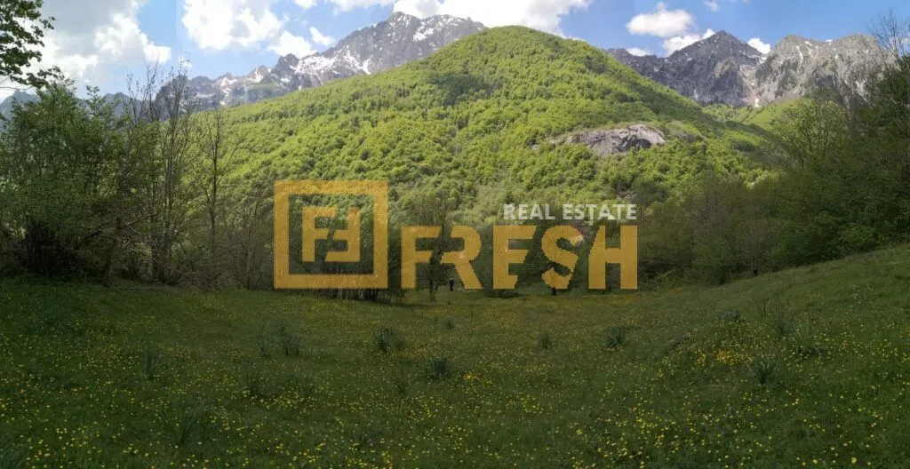 Prodaja, plac, 6600m², Kolašin, Crna Gora