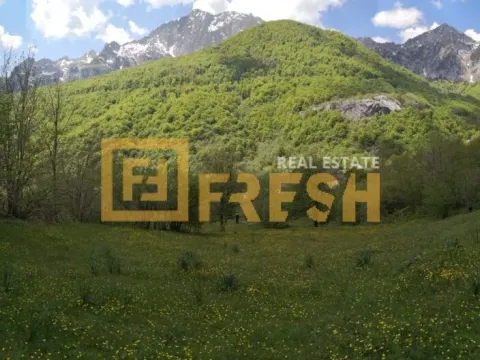 Prodaja, plac, 6600m², Kolašin, Crna Gora - image 3