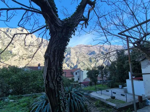 Prodaja, kuća, 58m², Muo, Kotor - image 6