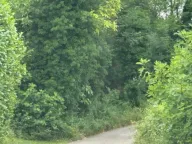 Prodaja, plac, 1000m², Ćurilac, Danilovgrad - image 4