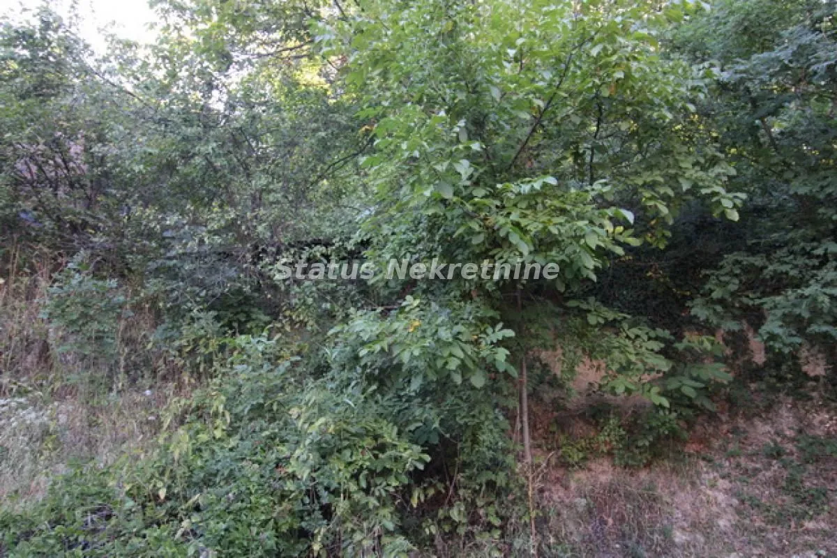 Prodaja, kuća, 198m², Sremska Kamenica, Petrovaradin