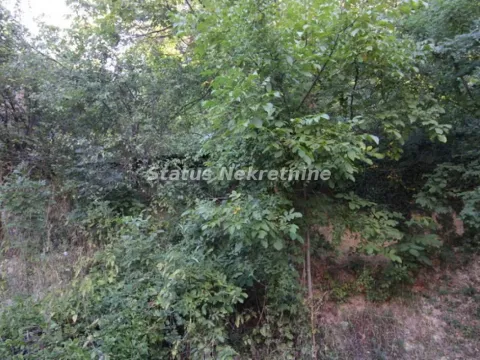 Prodaja, kuća, 198m², Sremska Kamenica, Petrovaradin - image 26