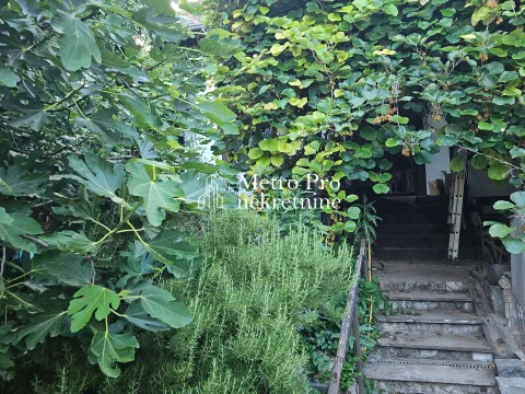 Sale, house, 256m², Zemun Centar, Zemun Sve Podlokacije - image 2