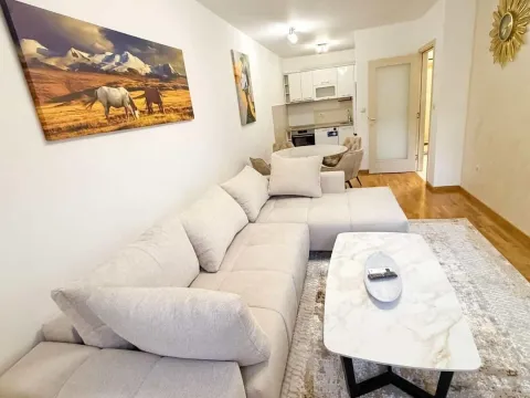 Rent, one bedroom apartment, 46m², City Kej, Podgorica - image 4