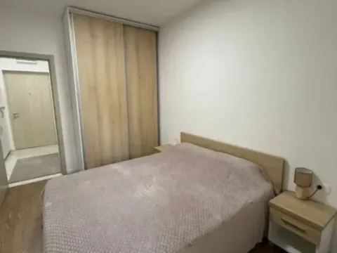 Izdavanje, jednosoban stan, 45m², Pobrežje, Podgorica - image 8