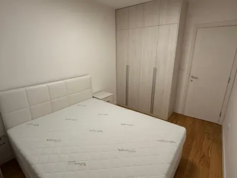 Izdavanje, jednosoban stan, 49m², Central Point, Podgorica - image 6