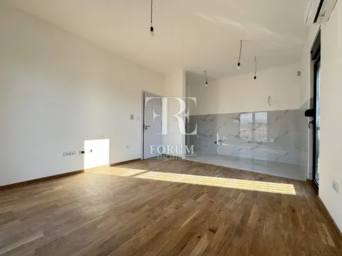 Izdavanje, dvosoban stan, 60m², Zabjelo, Podgorica - image 4
