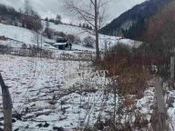 Prodaja, plac, Tara, Srbija - image 2