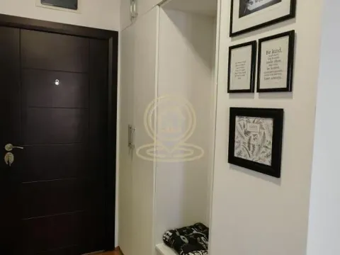 Izdavanje, dvosoban stan, 42m², Nova Detelinara, Novi Sad Sve Podlokacije - image 7