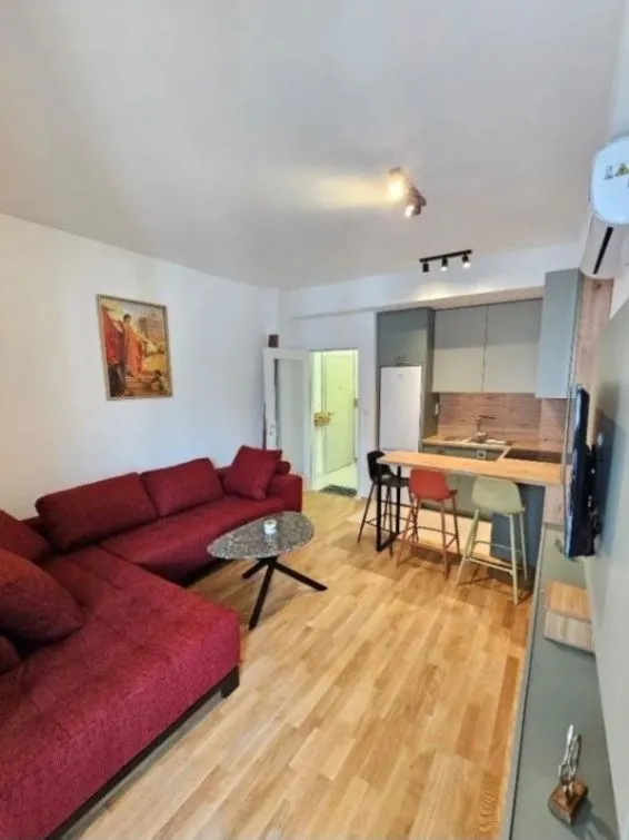 Rent, one bedroom apartment, 45m², Zabjelo, Podgorica