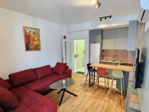 Izdavanje, jednosoban stan, 45m², Zabjelo, Podgorica