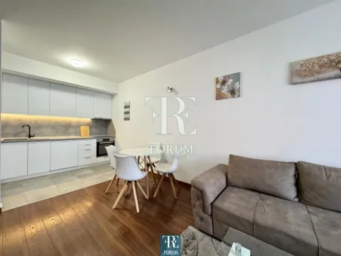 Izdavanje, dvosoban stan, 70m², Master Kvart, Podgorica - image 3