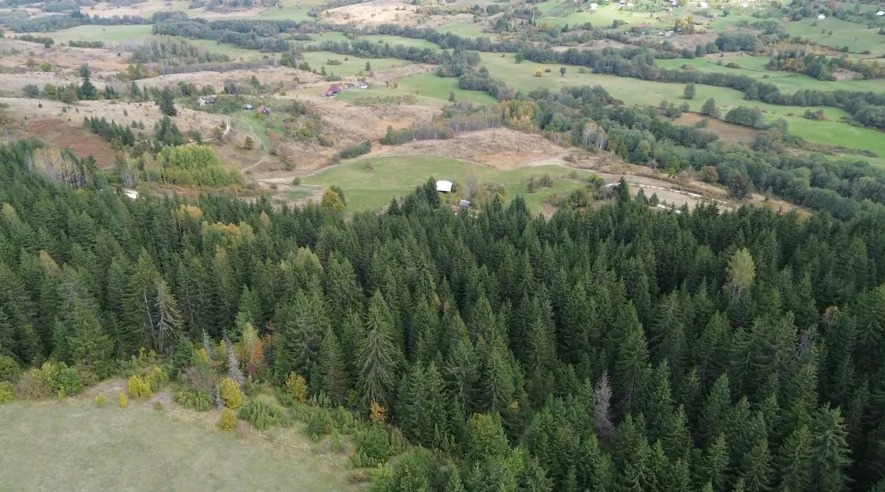 Prodaja, plac, 46000m², Pljevlja, Crna Gora