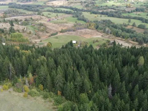 Sale, land lot, 46000m², Pljevlja, Crna Gora - image 4