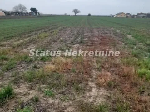 Prodaja, plac, 686m², Futog, Novi Sad Sve Podlokacije - image 4