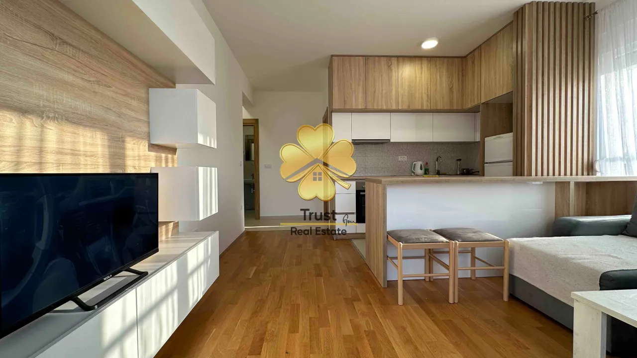 Izdavanje, jednosoban stan, 45m², Stari Aerodrom, Podgorica