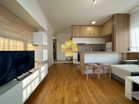 Izdavanje, jednosoban stan, 45m², Stari Aerodrom, Podgorica