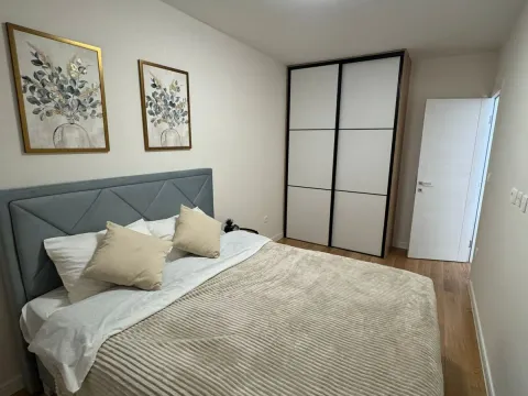 Izdavanje, jednosoban stan, 45m², Central Point, Podgorica - image 7