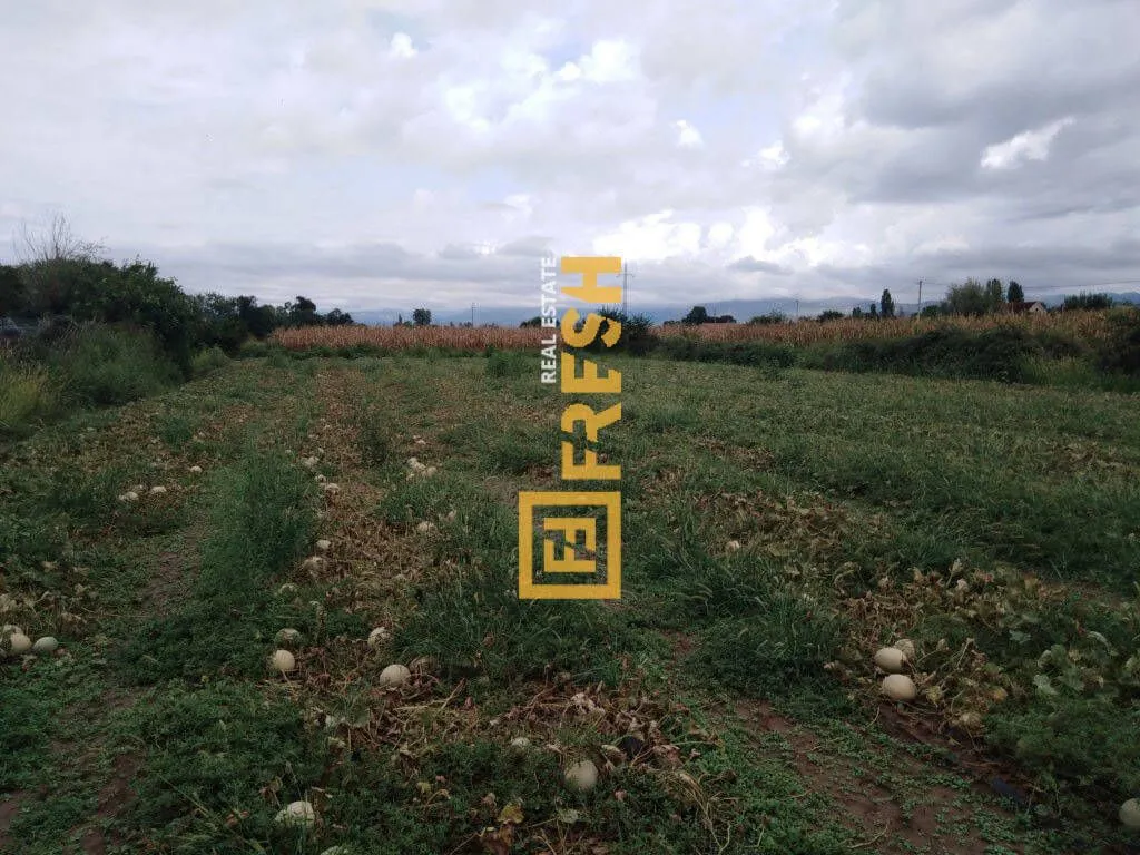 Prodaja, plac, 3150m², Ostalo, Podgorica