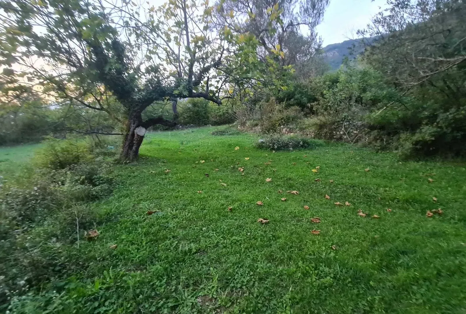 Prodaja, plac, 2171m², Kavač, Kotor