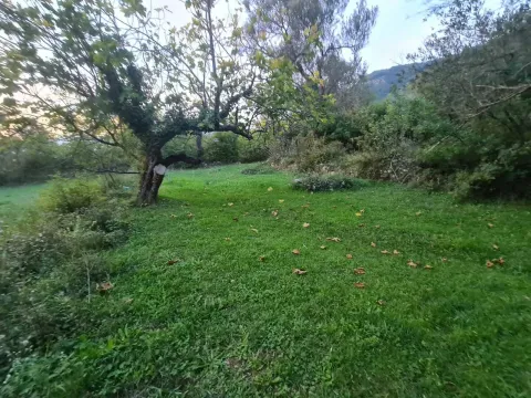 Prodaja, plac, 2171m², Kavač, Kotor - image 5