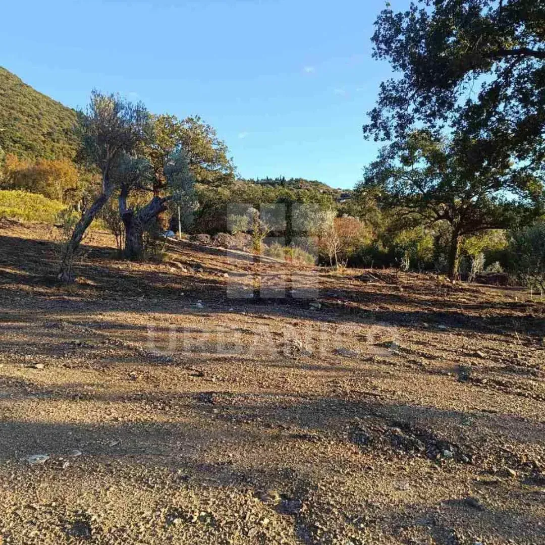 Prodaja, plac, 4800m², Bjeliši, Bar
