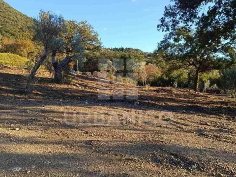 Prodaja, plac, 4800m², Bjeliši, Bar - image 6