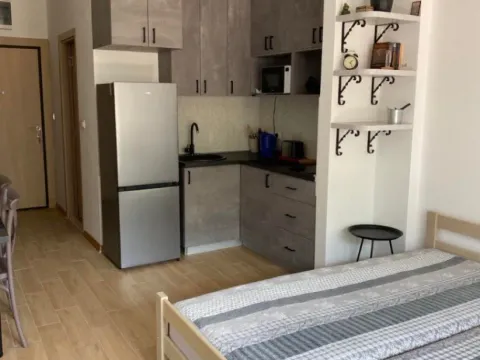 Sale, studio apartment, 30m², Golubovina, Budva - image 2