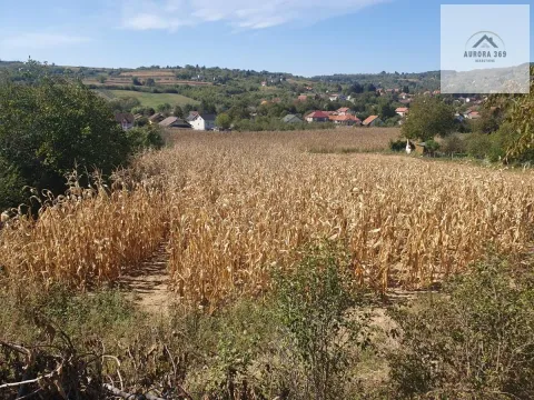 Prodaja, plac, 2300m², Banja Vrdnik, Irig - image 3