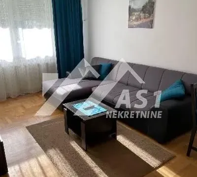 Izdavanje, dvosoban stan, 36m², Centar, Novi Sad - image 2
