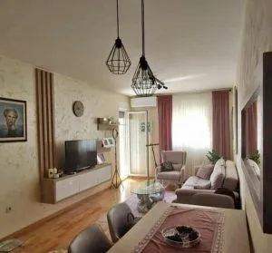 Rent, one bedroom apartment, 46m², Zagorič, Podgorica