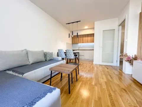 Rent, one bedroom apartment, 42m², Zabjelo, Podgorica - image 2