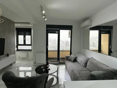 Izdavanje, dvosoban stan, 45m², Vračar Sve Podlokacije, Beograd - image 7