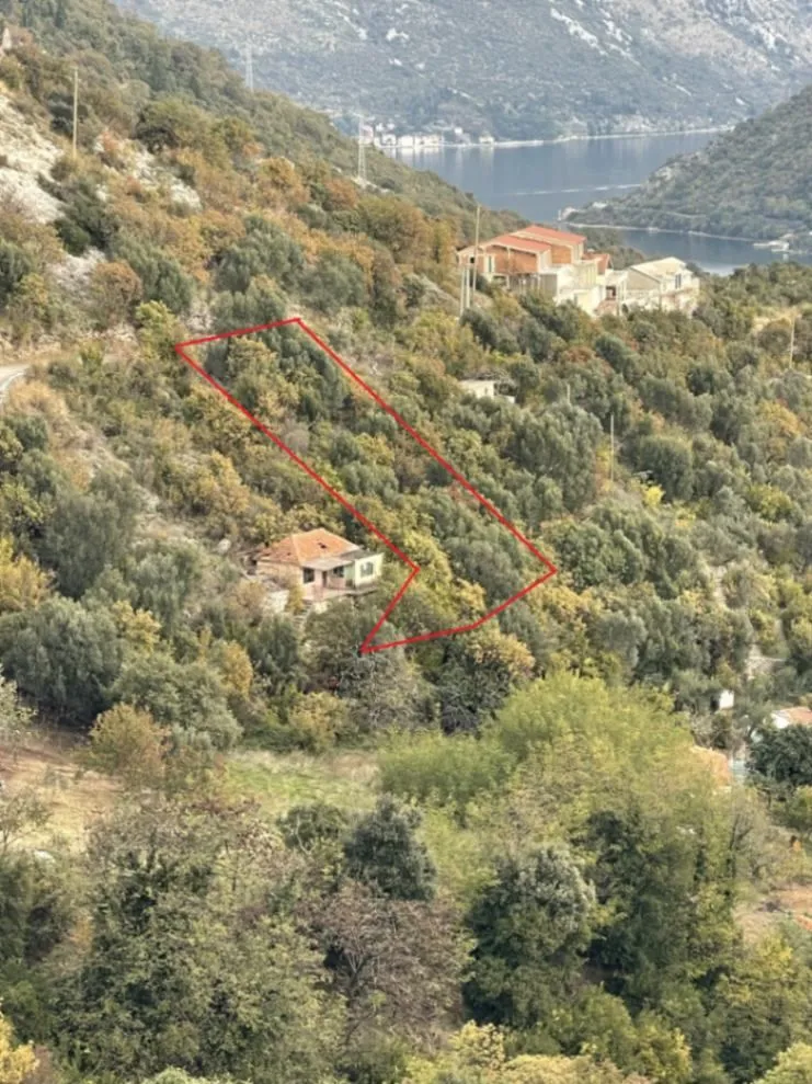 Prodaja, plac, 558m², Kamenari, Herceg Novi