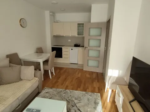 Izdavanje, jednosoban stan, 40m², Zabjelo, Podgorica - image 4