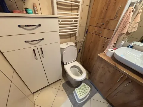 Kupatilo opremljeno sanitarijama i drvenim elementima. - image 14