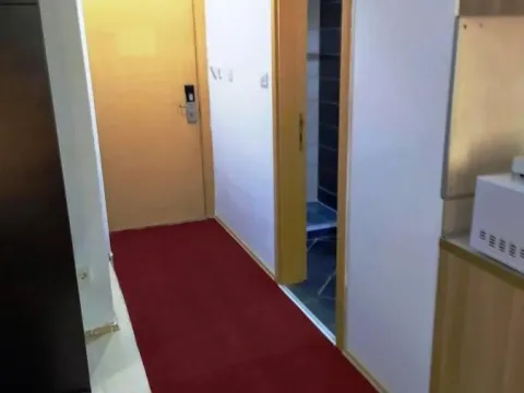 Rent, studio apartment, 24m², Novo naselje, Novi Sad - image 5