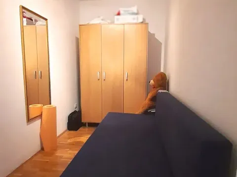 Prodaja, jednosoban stan, 41m², Bulbulder, Zvezdara Sve Podlokacije - image 2