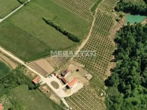 Prodaja, plac, 74500m², Arandjelovac, Srbija - image 3