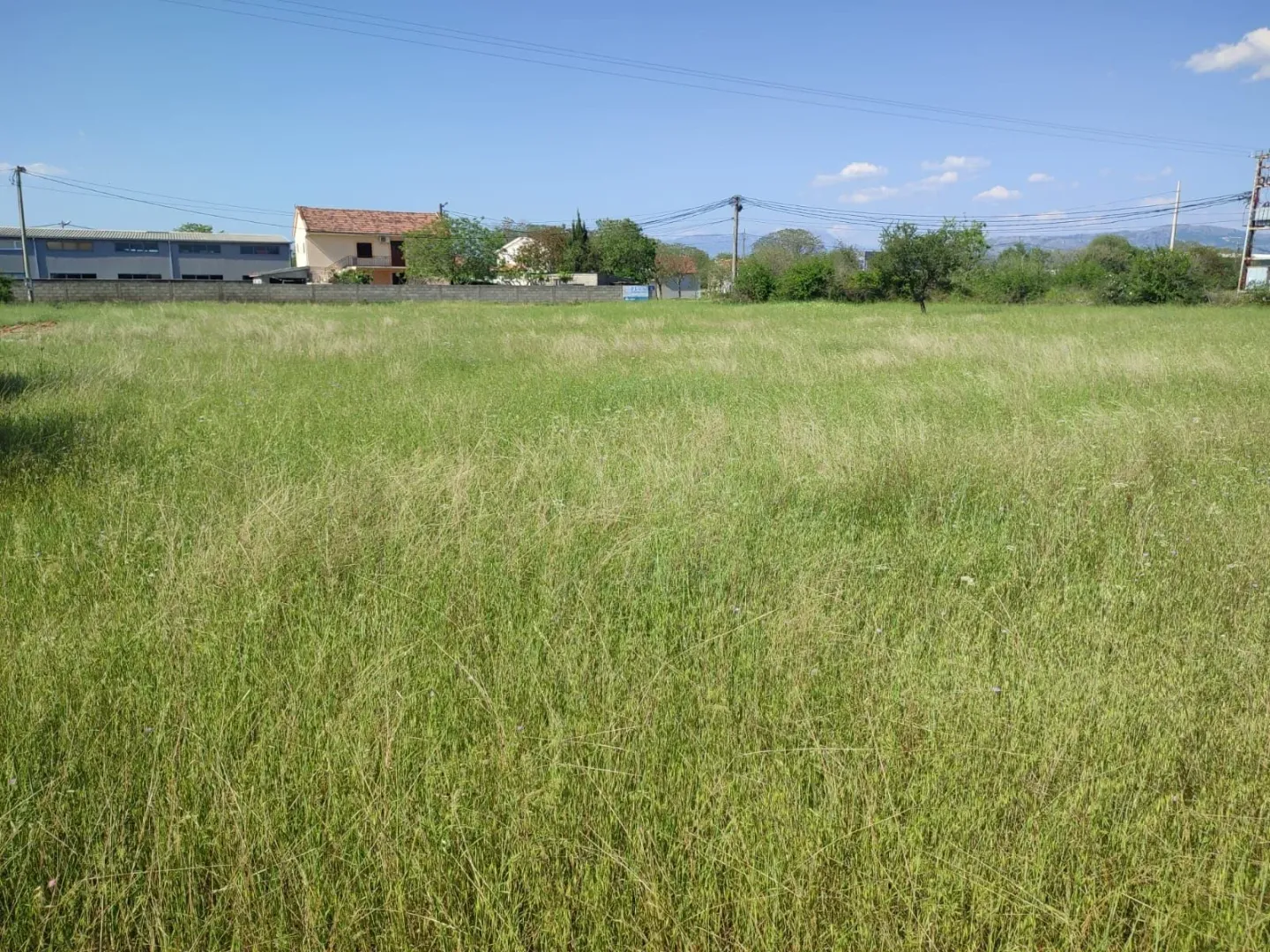 Veliki travnati plac sa objektima u pozadini.