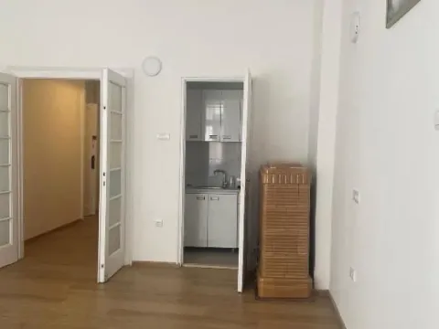 Rent, one bedroom apartment, 33m², Vračar Centar, Vračar Sve Podlokacije - image 4