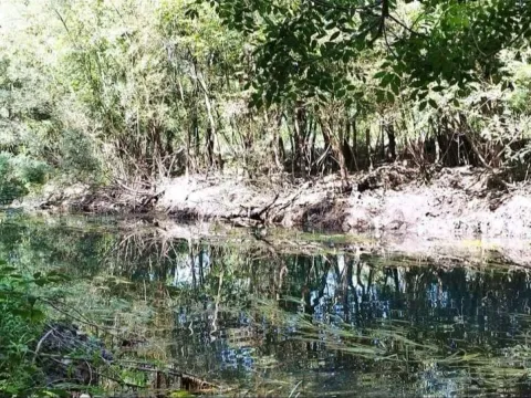 Prodaja, plac, 1800m², Podgorica, Crna Gora - image 3