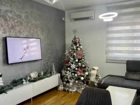 Sale, one bedroom apartment, 46m², Zagorič, Podgorica - image 1