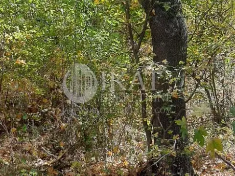 Sale, land lot, Kosmaj, Sopot - image 6