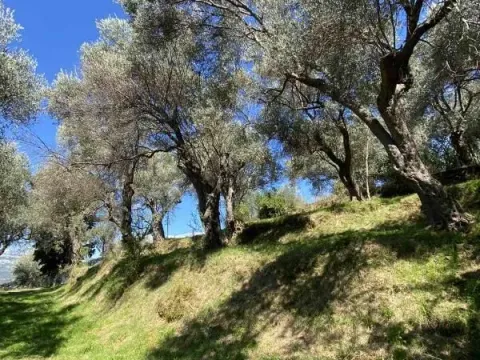 Prodaja, plac, 3770m², Zaljevo, Bar - image 8